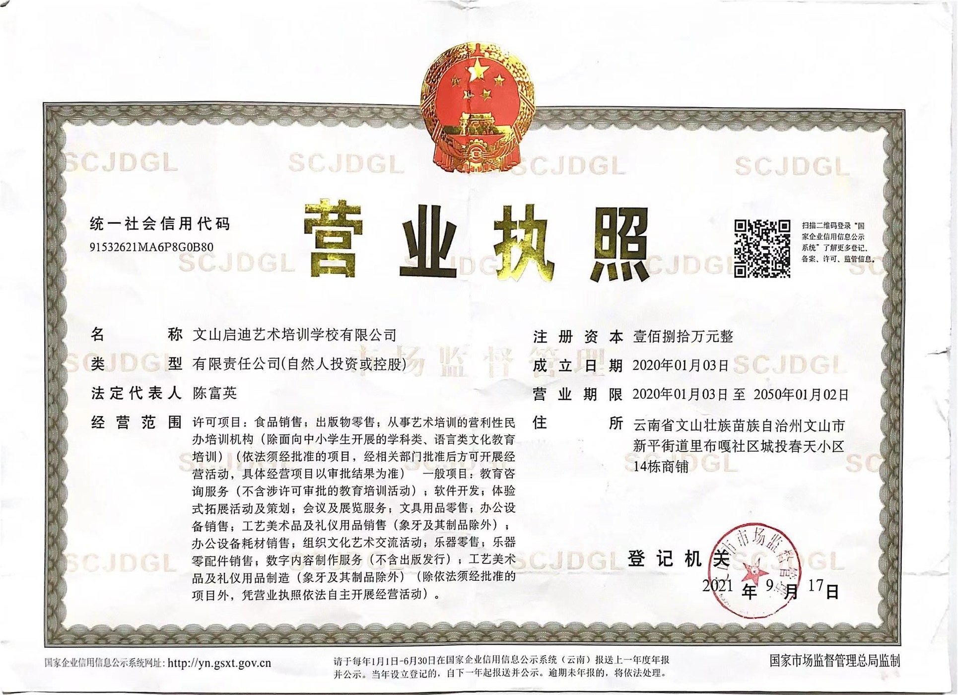 营业执照 · 文山启迪艺术培训学校有限公司(城南校区)