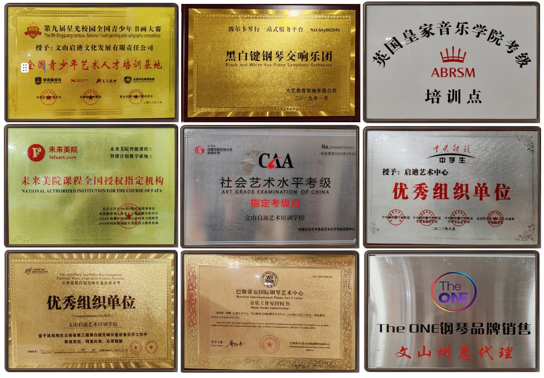 启迪艺术资质荣誉牌匾合影