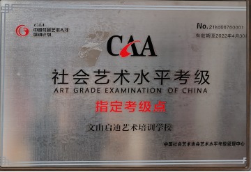 社会艺术水平考级指定考点