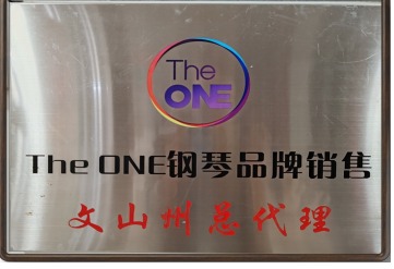 The ONE 文山州总代理
